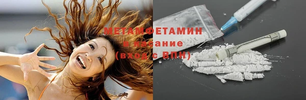 сатива Волоколамск